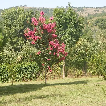Holiday home Petite Maison De Village *